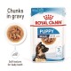 Royal Canin Puppy food packaging featuring chunks in gravy, suitable for puppies aged 2-15 months, with a soft texture for baby teeth.