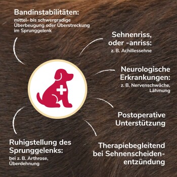 Graue Hundesilhouette mit sichtbaren Knochen und rotem Verband am unteren rechten Bein, auf weißem Hintergrund.