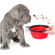 Ein grauer Welpe sitzt neben einer zusammenklappbaren roten Haustierschüssel, die von einer Hand gehalten wird, mit bunten Spritzern, die darum herum illustriert sind.