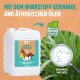 Weißer Behälter mit der Aufschrift "GREEN HERO Bremsen-EX" mit einem Pferdegrafik, 5L Kapazität und Qualitätszertifikaten, vor einem türkisfarbenen Hintergrund.