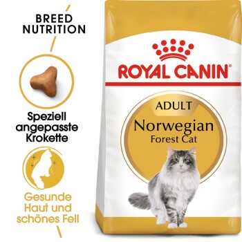 Royal Canin Adult Norwegian Forest Cat Trockenfutterbeutel mit einer grauen Katzenillustration, die die rassespezifische Ernährung für Haut- und Fellgesundheit betont.