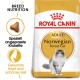 Royal Canin Adult Norwegian Forest Cat Trockenfutterbeutel mit einer grauen Katzenillustration, die die rassespezifische Ernährung für Haut- und Fellgesundheit betont.