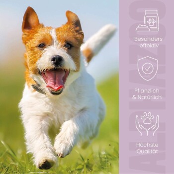 Bild des ALPHAZOO-Teams in einem Tiergeschäft, mit mehreren Hunden und einem Text, der ihre nachhaltigen Haustierprodukte bewirbt, mit dem Schwerpunkt auf "Made with LOVE."