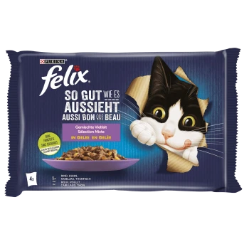 Packung mit Felix Katzenfutter, die eine verspielte schwarz-weiße Katze zeigt, die durch zerrissene Verpackung schaut, mit Text in Deutsch und Französisch.