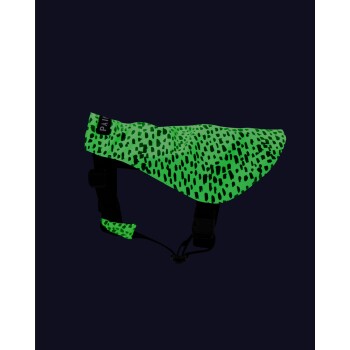 Ein leuchtend grünes Haustiergeschirr mit einem gepunkteten Muster, ausgestattet mit verstellbaren Riemen und einem Etikett, das "PAW" liest.
