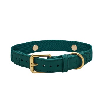 Hundehalsband Veganes Leder grün XS