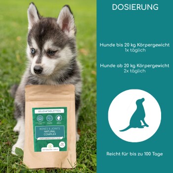 Gelenk Tabs für Hunde in recycelbarer Verpackung, mit einer Pflanze, die in Erde sprießt, mit Text, der umweltfreundliche Zertifizierungen hervorhebt.