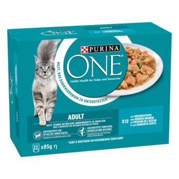 Verpackung von Purina ONE Katzenfutter mit einer grauen Katze, mit Text, der "Sichtbare Gesundheit für heute und morgen" und "ERWACHSEN" hervorhebt.
