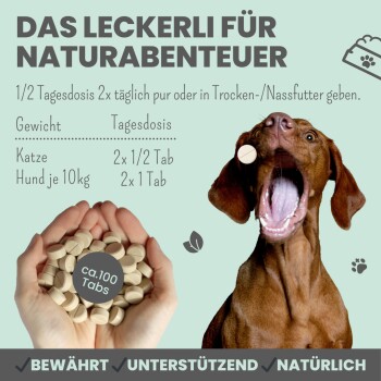 Ein brauner Hund hält ein Tablet im Mund, umgeben von einer Hand mit beigen Tabletten und Text über natürliche Tierleckereien und Dosierung.
