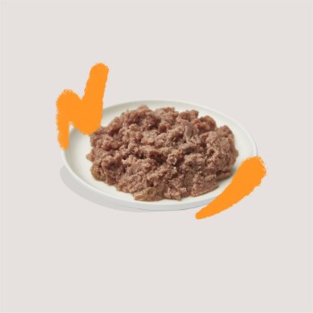 Une assiette de nourriture pour animaux humide, finement hachée avec une teinte rosée, accompagnée d'accents graphiques orange ludiques.