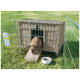 Ein brauner Hase, der aus einem Holzstall mit einer schrägen Rampe herauskommt, umgeben von einem grünen Drahtzaun und einer weißen Futterschüssel auf Gras.