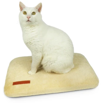 Eine weiße Katze sitzt auf einem weichen, beigen Haustierbett mit einem kleinen braunen Etikett an der Seite.