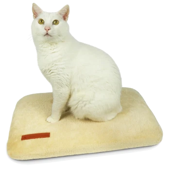 Eine weiße Katze sitzt auf einem weichen, beigen Haustierbett mit einem kleinen braunen Etikett an der Seite.