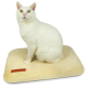 Eine weiße Katze sitzt auf einem weichen, beigen Haustierbett mit einem kleinen braunen Etikett an der Seite.