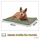 Ein Hund liegt auf einer grünen Haustiermatte, die 90 cm mal 60 cm misst, mit dem Text 'Ideale Größe für Hunde' darunter.