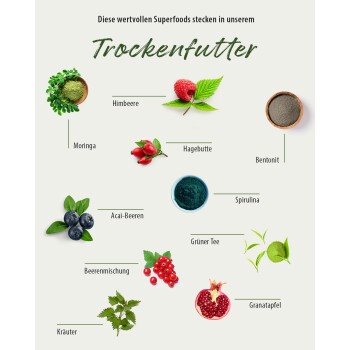 Tierfutteranzeige, die Superfoods zeigt: Moringa, Himbeere, Hagebutte, Acai, Spirulina, grüner Tee und mehr, betitelt "Trockenfutter."