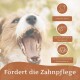 Nahaufnahme eines gähnenden Hundes mit Text über die Vorteile der Zahnpflege und Symbolen für Zahnreinigung, Zahnsteinreduzierung und Zahnfleischgesundheit.