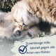 Katze und Hund kuscheln; Einblendung: „Zuverlässige Hilfe speziell gegen alle Arten von Flöhen“ mit Häkchen.