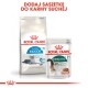 Karma dla zwierząt Royal Canin: worek suchej karmy dla kotów "Home Life Indoor 7+" oraz saszetka mokrej karmy "Instinctive 7+" z polskim napisem.