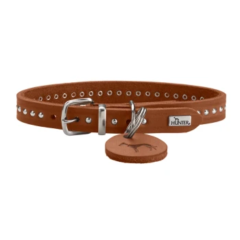 Halsband Aalborg Style cognac 27 cm Braunes Lederhalsband für Hunde mit silbernen Nieten, mit einer Metallschnalle und einem Etikett mit dem Markennamen "HUNTER."