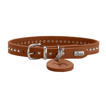 Braunes Lederhalsband für Hunde mit silbernen Nieten, mit einer Metallschnalle und einem Etikett mit dem Markennamen "HUNTER."