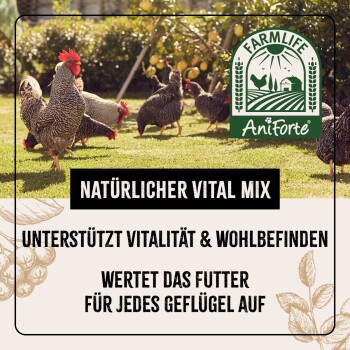 Hühner in einem Garten mit Text: "Natürlicher Vital Mix - Unterstützt Vitalität & Wohlbefinden."