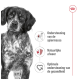 Close-up van een serieuze bruin-witte hond met de tekst: 'Spierondersteuning', 'Natuurlijke verdediging', 'Optimale gezondheidssteun.'