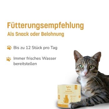 Getigerte Katze mit Snackdose und deutschem Text „Fütterungsempfehlung“ und „Bis zu 12 Stück“