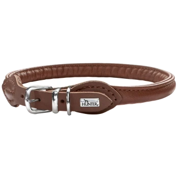 Braunes Leder-Hundehalsband mit einer silbernen Schnalle und einem kleinen "HUNTER"-Logo-Anhänger.