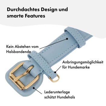 Hellblaue Hundehalsband mit goldener Schnalle, beschriftet mit Designvorteilen: kein Überstand des Halsbandendes, Anhängerbefestigung und Lederunterlage.