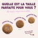 Trois tailles de croquettes pour chiens avec titre en français « Quelle est la taille parfaite pour vous ? » Étiquettes : Croquettes Large, Medium, Small.