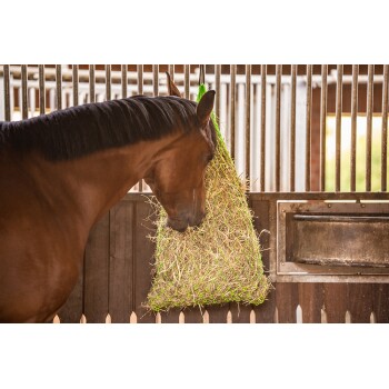 Ein braunes Pferd frisst aus einem Heunetz, das in seinem Stall hängt, mit sichtbaren Holzwänden und einer Metalltränke im Hintergrund.