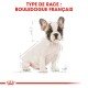 Illustration d'un chiot Bulldog français avec un guide de mesure, étiqueté "TYPE DE RACE : BOULEDOGUE FRANÇAIS" en texte rouge gras.