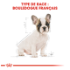 Illustration d'un chiot Bulldog français avec un guide de mesure, étiqueté "TYPE DE RACE : BOULEDOGUE FRANÇAIS" en texte rouge gras.