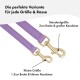 Lila Hundeleinen nebeneinander ausgestellt, beschriftet für Standard- und kleine Größen, die Unterschiede in Breite und Clipgröße hervorheben.