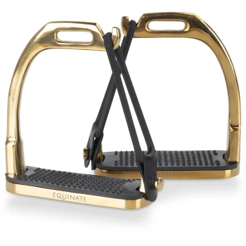 Ein Paar goldene und schwarze Steigbügel mit strukturierten Gummifußpolstern, auf der Seite mit dem Markennamen "EQUINATE" graviert.