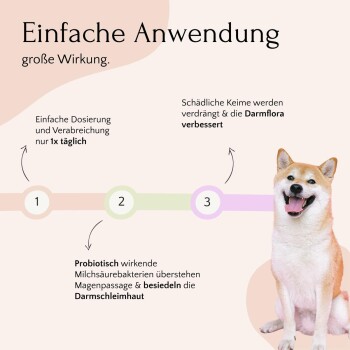 Anzeige für probiotisches Haustierergänzungsmittel mit einem Hund, das einfache Dosierung, Vorteile für die Darmgesundheit und Keimeliminierung zeigt.