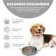 Ein Beagle ruht neben einer grauen langsamen Futter-Schüssel, die mit Futter gefüllt ist, und fördert gesundes Essen und Verdauung, während Übergewicht und Blähungen verhindert werden.