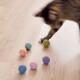 Eine verspielte getigerte Katze schlägt nach bunten Filzkugeln auf einem Holzboden, mit pinken, blauen, grünen und lila Kugeln, die verstreut sind.