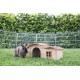 Ein brauner und schwarzer Hase sitzt auf grünem Gras neben einem Holzhasenhaus mit einem schrägen Dach und einem kleinen Fenster, umgeben von einem Drahtzaun.