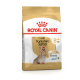 Royal Canin Adult Yorkshire Terrier Hundefutterbeutel für Hunde über 8 Jahre, mit einem Bild eines Yorkshire Terriers und Ansprüchen auf gesunde Haut und Fell.