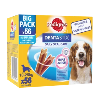Pedigree DentaStix dog treats box, featuring a happy dog, with "BIG PACK x56" and "DAILY ORAL CARE" text, promoting dental hygiene.