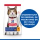 Hill's Science Plan kattenvoerzak met een volwassen tabby kat. Tekst benadrukt ondersteuning voor energie, immuniteit en vitale organen.