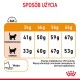 Przewodnik karmienia kotów z dziennymi ilościami według wagi (3kg-6kg) i kondycji ciała, plus ikona wody i informacje o energii.
