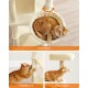 Ein gemütlicher Katzenbaum mit einem verstärkten Sockel, einer flauschigen Hängematte und einem gemütlichen Versteck, mit einer orangefarbenen Tabby, die darauf liegt.