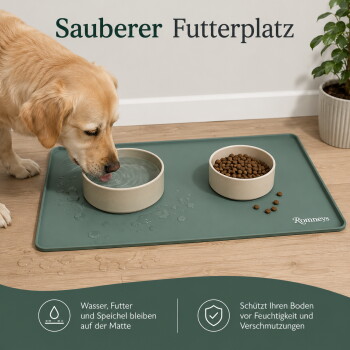 Draufsicht auf einen braunen Hund, der aus einer Wasserschüssel auf einer grünen Matte trinkt, mit Trockenfutter, Wasserspritzern und dem Logo 'Romneys'.