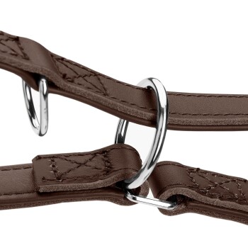 Nahaufnahme eines braunen Leder-Haustiergeschirrs mit silbernen Metallringen und Nähdetails, das sein strapazierfähiges Design zeigt.