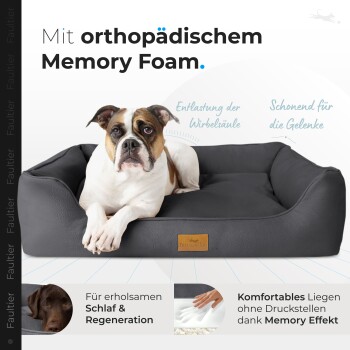 Ein Hund ruht auf einem schwarzen orthopädischen Hundebett aus Memory-Schaum, mit Text über Wirbelsäulenentlastung und Gelenkpflege.