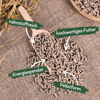 Holzkelle mit braunen Tierpellets und Heu; Etiketten: nährstoffreich, hochwertiges Futter, Energiespender, Pelletform