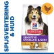 Sac de nourriture pour chiens Hill's Science Plan avec un colley heureux, étiqueté 'Estomac & Peau Sensibles' avec du poulet, et 'Recommandé par les vétérinaires.'